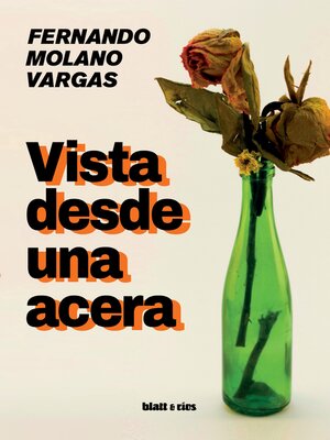 cover image of Vista desde una acera